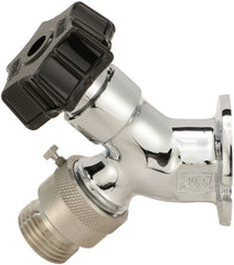ZURN Zurn Z1341XL-P34 wall faucet 3/4 in.