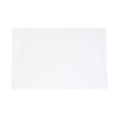 JACKSON SAFETY Jackson Safety 37248 Inner Safety Plate Polycarbonate