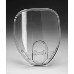 3M 3M 7100009686 Respirator Lens Replacement