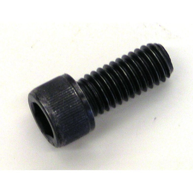 3M 3M 7010326676 Replacement Screw 3/8-16 Abrasive Power Tools