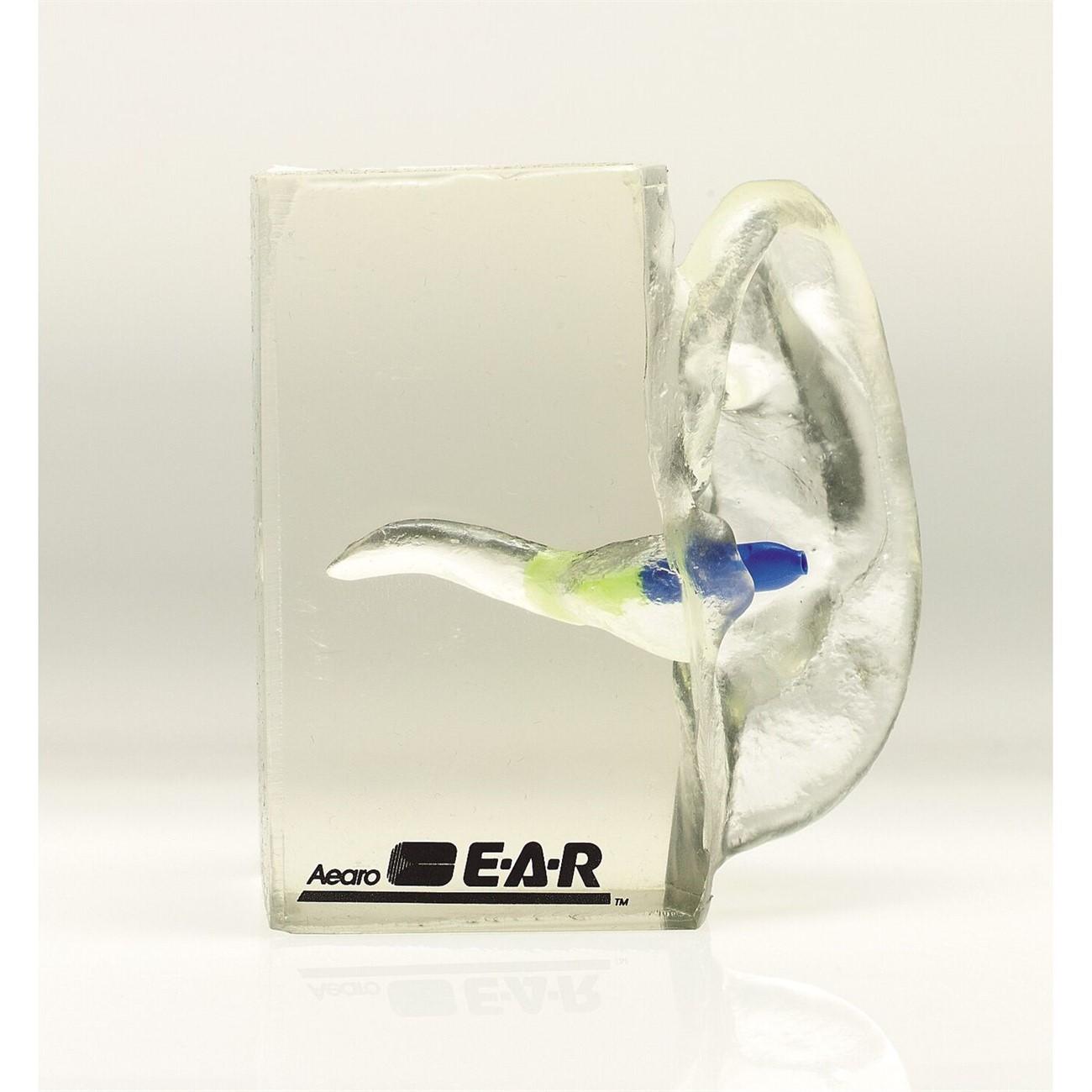 3M 3M 7000127216 Clear Silicone Ear Canal Training Model