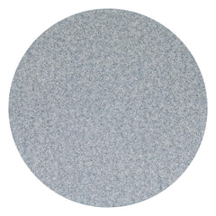 NORTON Norton 662611-40531 Speed-grip Paper Disc 6 in P100B