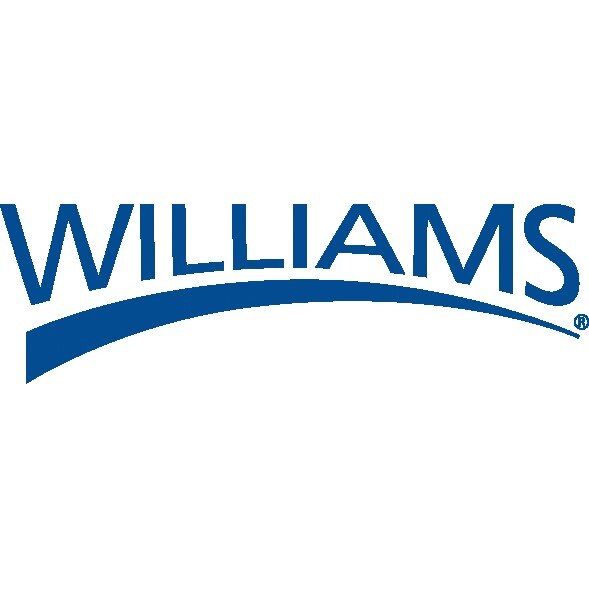 WILLIAMS COMFORT PRODUCTS Williams Comfort Products 31011RK Ratchet Repair Kit