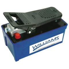 WILLIAMS COMFORT PRODUCTS Williams Comfort Products 5AS150 Air Pump 91.5 Cu in