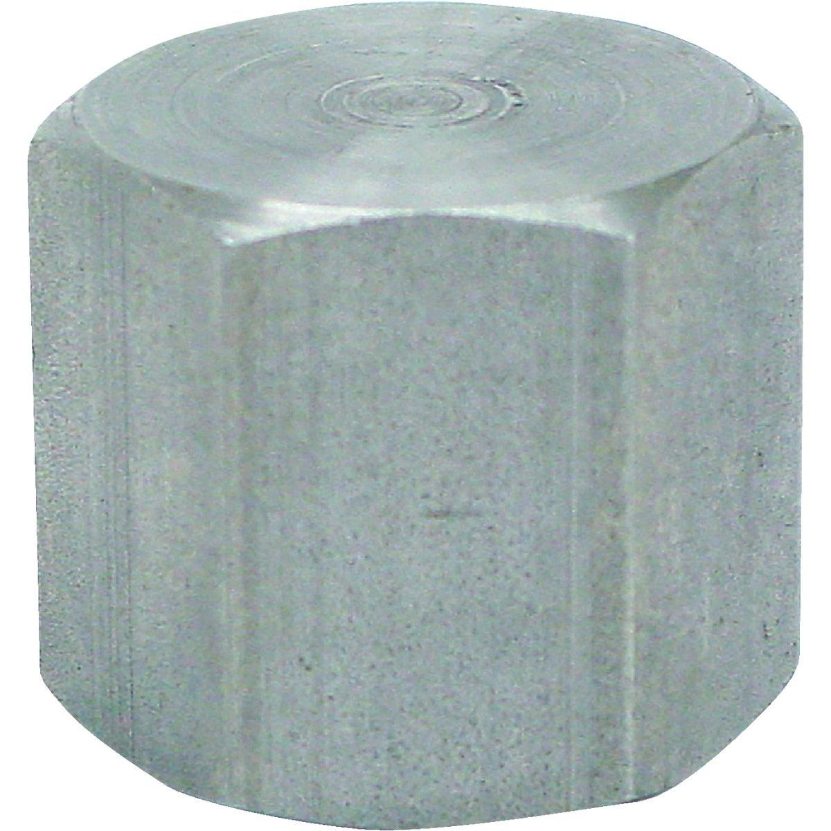 ASC ENGINEERED SOLUTIONS Asc Engineered Solutions 8700132551 Pipe Cap 1/4 in