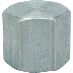 ASC ENGINEERED SOLUTIONS Asc Engineered Solutions 8700132551 Pipe Cap 1/4 in