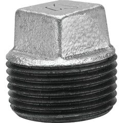ASC ENGINEERED SOLUTIONS Asc 8700159752 Malleable Iron Galvanized Plug 1/4 in