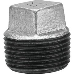 ASC ENGINEERED SOLUTIONS Asc 8700160008 Malleable Iron Galvanized Plug 1-1/4 in