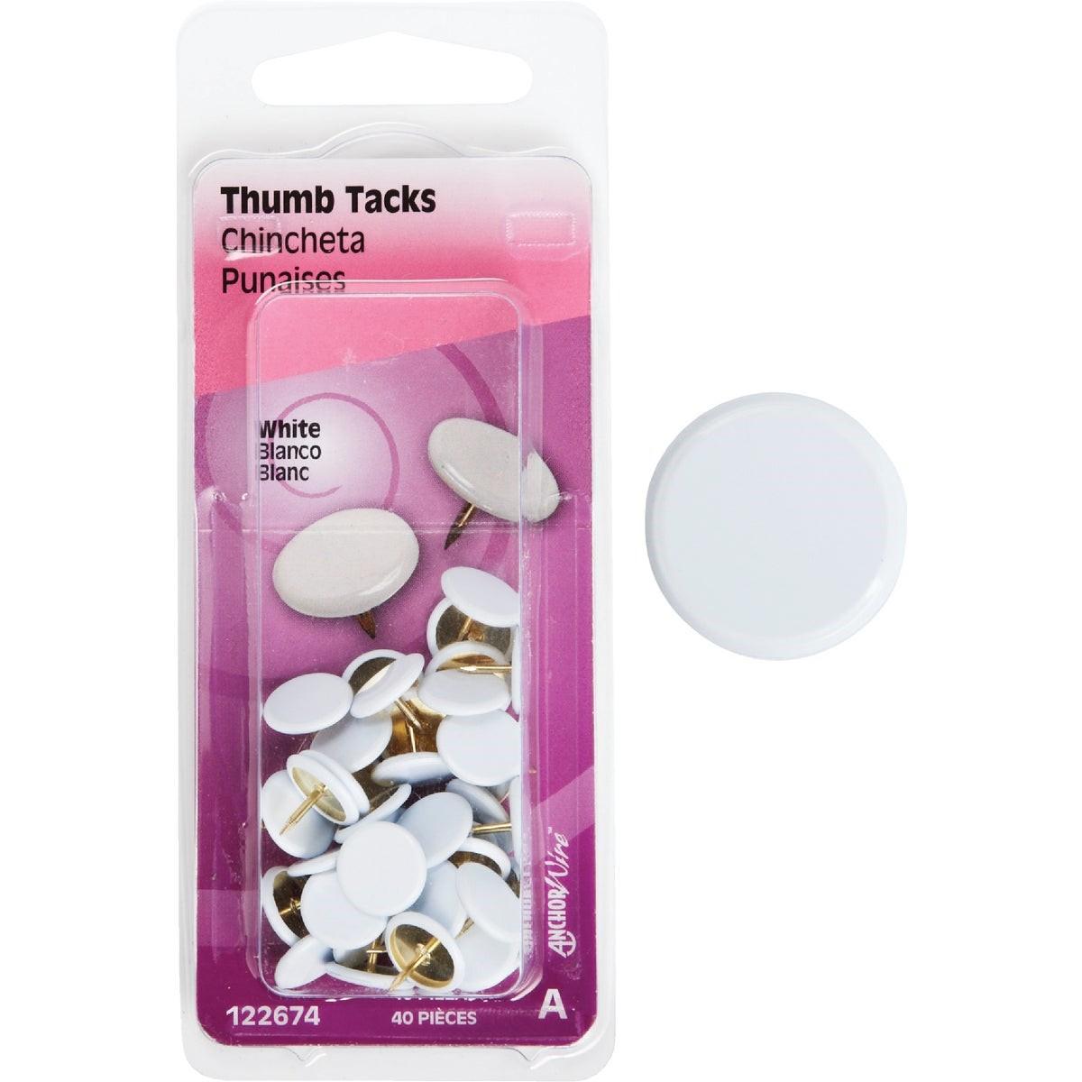 HILLMAN Hillman 122674 White Thumb Tacks 40 Count