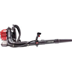 ARNOLD Arnold 41AR51BP766 Backpack Gas Blower 220 Mph 600 Cfm