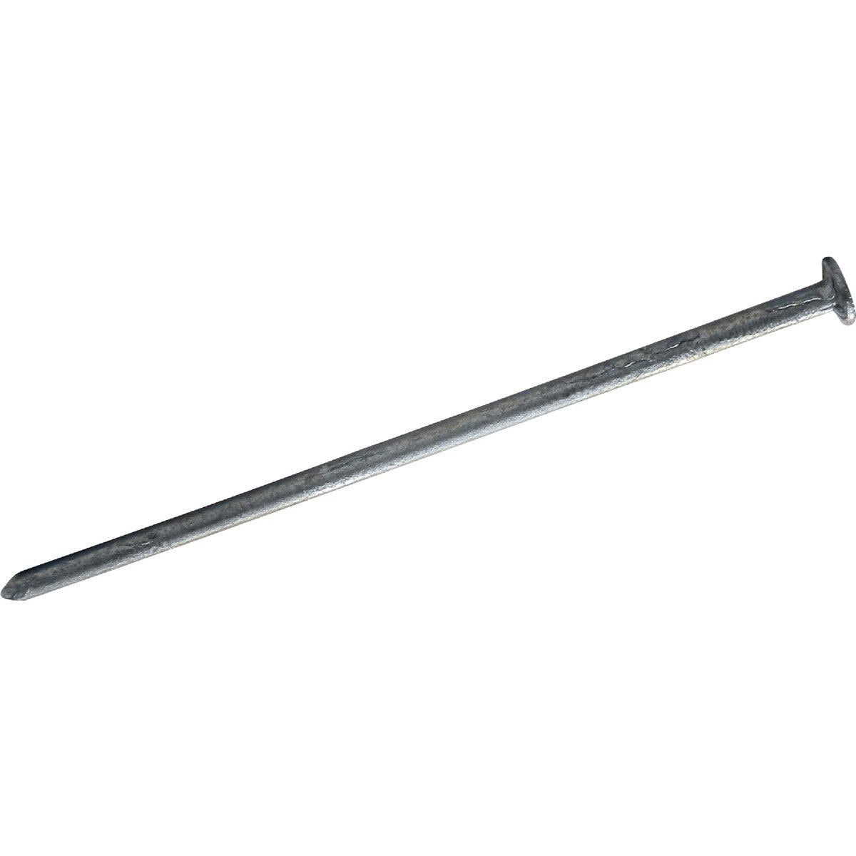 MAZE NAILS Maze Nails S227530 Galvanized Siding Nails 2.5 in 13 Gauge 590 Ct