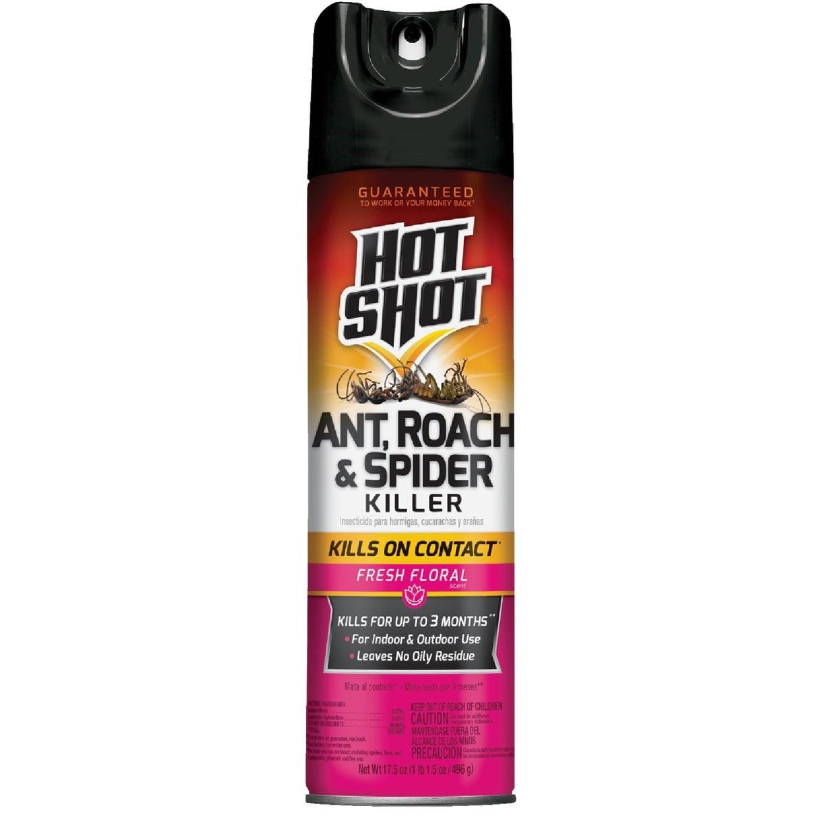 GENERAL WIRE SPRING General Wire Spring HG-96781 Ant Roach Killer Spray 17.5 Oz