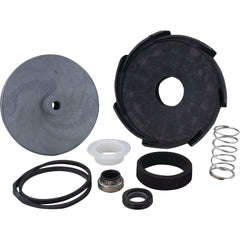 STAR WATER SYSTEMS Star Water Systems 148141 Pump Repair Kit