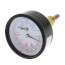 LOCHINVAR Lochinvar L100208152 Temperature Pressure Gauge