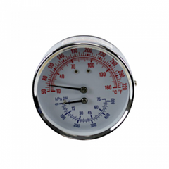 LOCHINVAR Lochinvar L100208153 Temperature Pressure Gauge