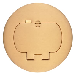 ATKORE Atkore E97BR2 Two Door Duplex Brass Floor Box Cover