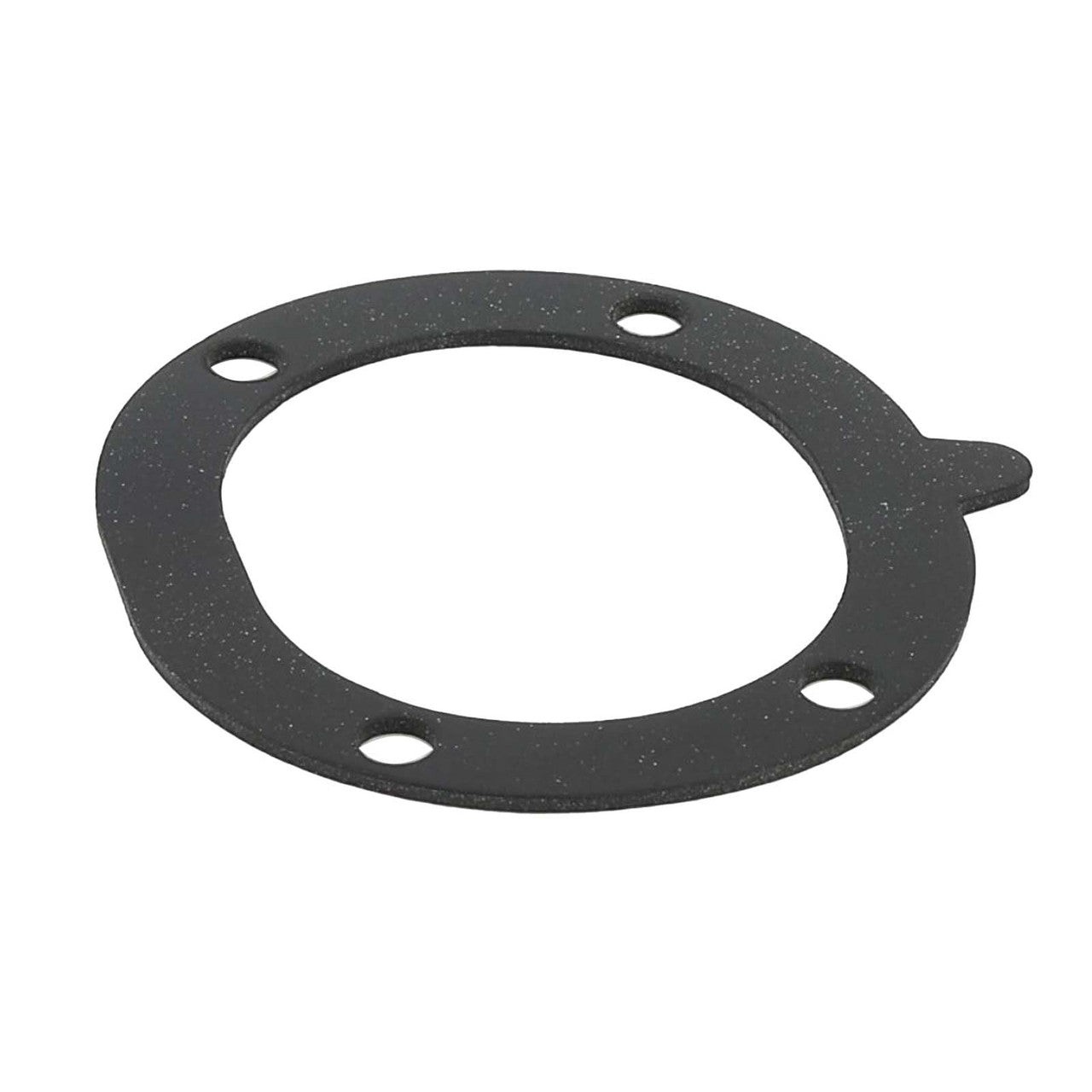 LOCHINVAR Lochinvar L100208759 Blower Gasket Kit SNA501
