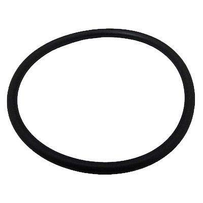 PENTAIR B4951 POOL O-RINGS & GASKETS