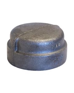 ASC ENGINEERED SOLUTIONS Winston Basics 318901345 1 BLK STL 300# THRD CAP DOM