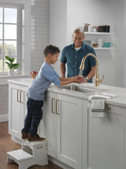 DELTA FAUCET Delta Faucet 9182-CZ-PR-DST Emmeline Single Handle Pull Down Kitchen Faucet