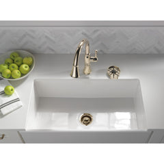 DELTA FAUCET Delta GR250-PN Metal Glass Rinser
