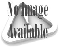 SIOUX CHIEF Sioux Chief 653-BS Water Hammer Arrestor, 3/4 Inch Male Sweat