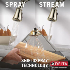 DELTA FAUCET Delta Faucet 9197-PN-PR-DST Cassidy Single Handle Pull Down Kitchen Faucet