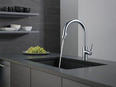 DELTA FAUCET Delta Faucet 9159-ARLS-DST Trinsic Single Handle Pull Down Kitchen Faucet