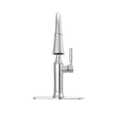 DELTA FAUCET Delta 9184-PN-PR-DST Renaldi Single Handle Pull-Down Kitchen Faucet