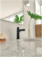 DELTA FAUCET Delta Faucet 574T-BL-DST Zura Single Handle Monoblock Bathroom Sink Faucet in Matte Black
