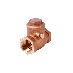 LEGEND VALVE Legend Valve 105-105 T-451 Check Valve 1 inch