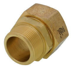 OMEGAFLEX TracPipe FGP-FST-1250 AutoFlare x NPT Straight Gas Fitting
