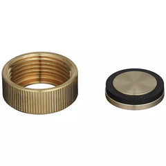 ZURN Zurnpex QTC5FBG QickPort® Manifold Cap 1 in