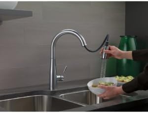DELTA FAUCET Delta Faucet 9113-BL-DST Kitchen Faucet with Pull Down Sprayer, Matte Black