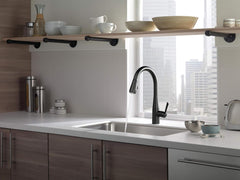 DELTA FAUCET Delta Faucet 9113-BL-DST Kitchen Faucet with Pull Down Sprayer, Matte Black