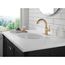 DELTA FAUCET Delta Faucet 559har-czpd-dst Trinsic Single Handle Pull Down Bathroom Faucet Champagne Bronze