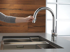 DELTA FAUCET Delta Faucet 9159-LS-DST Trinsic Single Handle Pull Down Kitchen Faucet