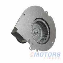 REGAL REXNORD Regal Rexnord A200 - Fasco Inducer Motor