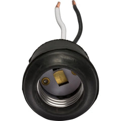 LEGRAND Pass & Seymour 201 Lampholder 660W 250 VAC Keyless
