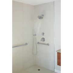 DELTA FAUCET Delta 55085 Grail®: Premium Single-Setting Adjustable Wall Mount Hand Shower