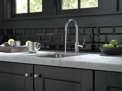 DELTA FAUCET Delta Faucet 1959LF-AR Trinsic True Bar Limited Swivel Arctic Stainless