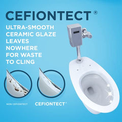 TOTO TOTO CT725CUG#01 Bath Hardware, Cotton White