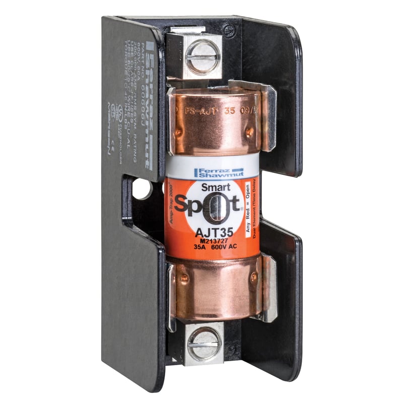 MERSEN Mersen AJT50 50 Amp, 600 Volt, Class J Time Delay Fuse