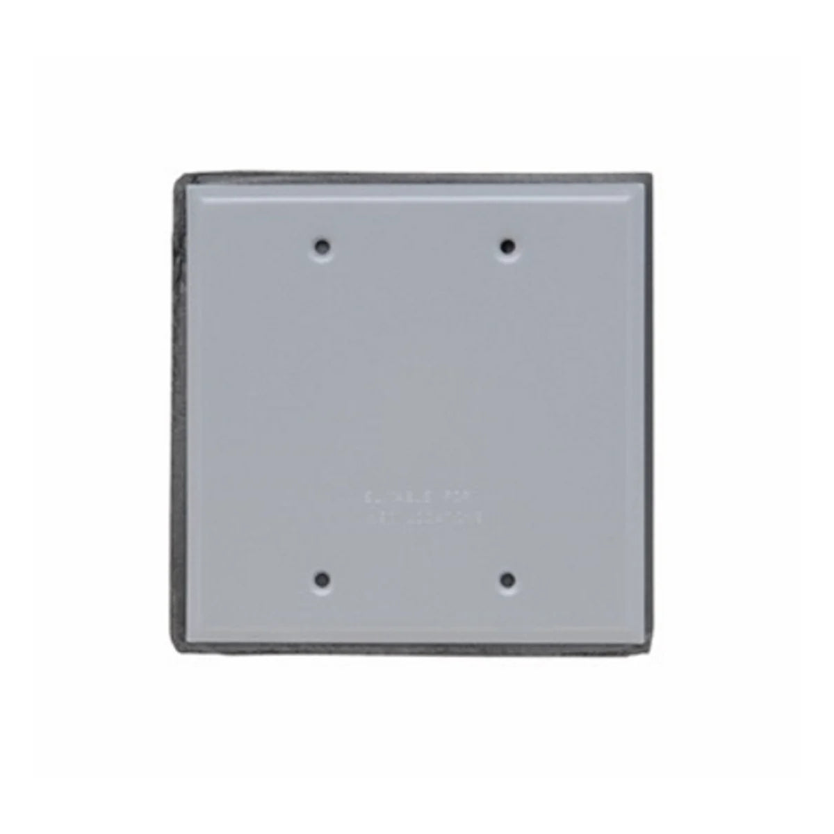 LEGRAND Legrand-Pass & Seymour WPB2 Weatherproof 2 Gang Blank Cover With Gasket and Screws