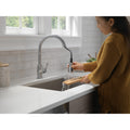 DELTA FAUCET Delta 9190-ar-dst Broderick Pull-down Kitchen Faucet
