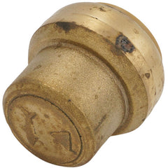 SHARKBITE SHARK UR520 1 End Stop