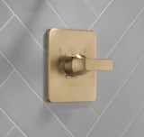 DELTA FAUCET Delta Faucet t14037 Velum Monitor 14 Series Pressure Balance Valve Only Trim Single Lever Handle