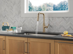 DELTA FAUCET Delta Faucet 19868LF-CZ Nicoli Single Handle Pull-Down Kitchen Faucet in Champagne Bronze