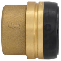 SHARKBITE SHARK UXL0454 2-in. End Cap
