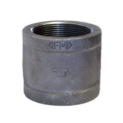 ASC ENGINEERED SOLUTIONS Winston Basics 310081609 3 BLK STL 150# COUP DOM